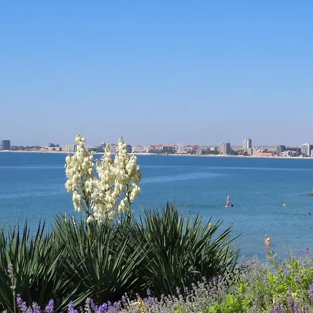 Апартаменти Polarstar Verona