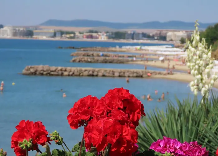 Polarstar Verona Appartamento